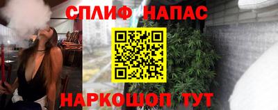 ешки Гатчина