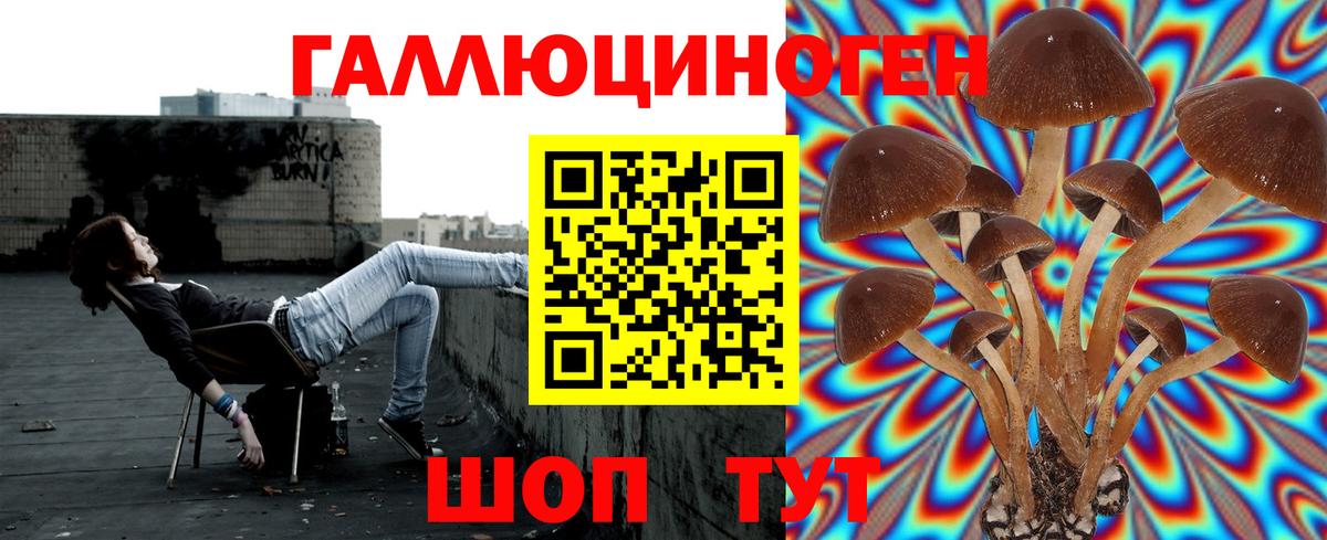 Псилоцибиновые грибы MAGIC MUSHROOMS  Вход с VPN  Лиски 